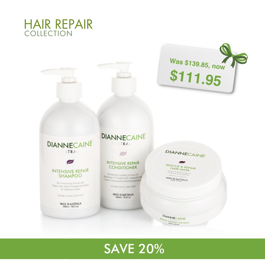 Hair Repair Collection - Dianne Caine Australia